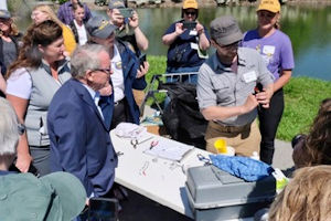 Mike de Wine watching bird banding