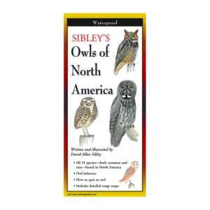 Sibleys Owls of North America folding guide