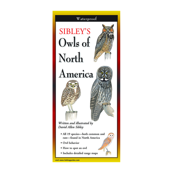 Sibleys Owls of North America folding guide