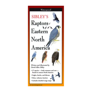 Sibley's Raptors of Eastern North America folding guide