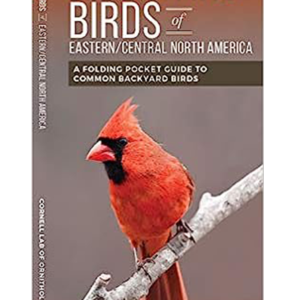a Cornell folding guide to backyard birds