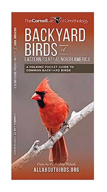 a Cornell folding guide to backyard birds