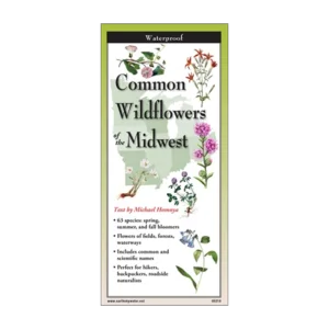 a pocket folding guide to common_wildflowers