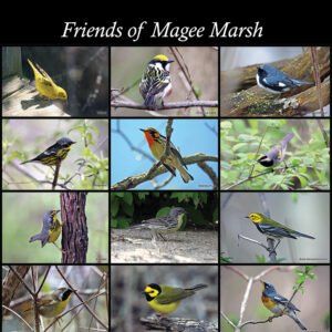 Friends of Magee Marsh shopping bags with warbler photographs