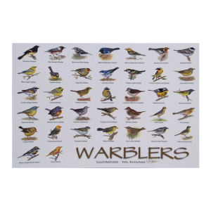 Magee Marsh Warblers postcard