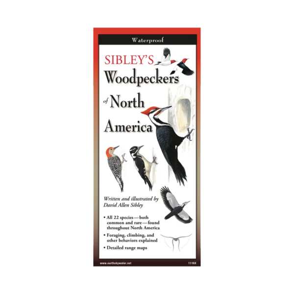 Sibley's Woodpeckers folding guide