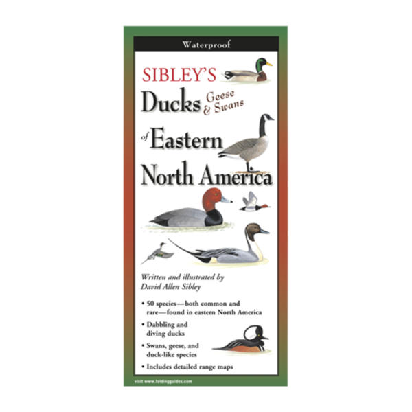 Sibleys Ducks Geese and Swans of Eastern North America folding guide