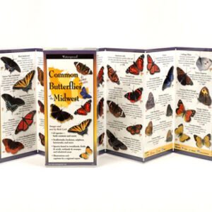 Sibley's folding guide of butterflies